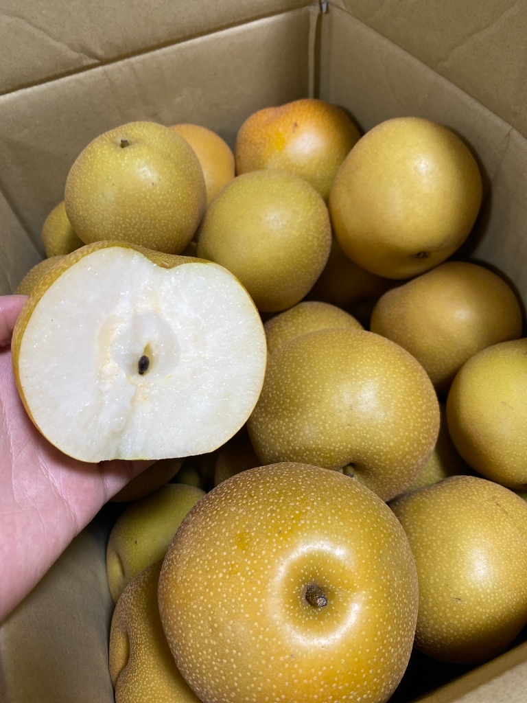 Lê Vàng Giòn Ngọt 1000g