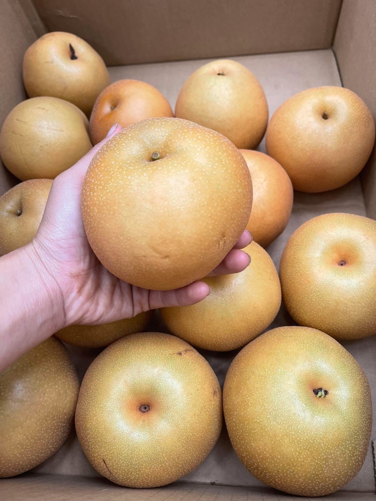 Lê Vàng Giòn Ngọt 1000g