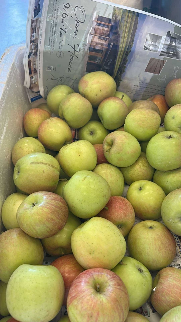Táo Xanh 1kg - 若りんご/ グリーンりんご