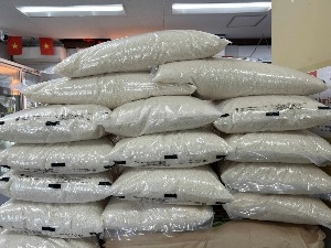 Gạo Nhật Ngon Koshi Hikari 2025 - こしひかり (米)