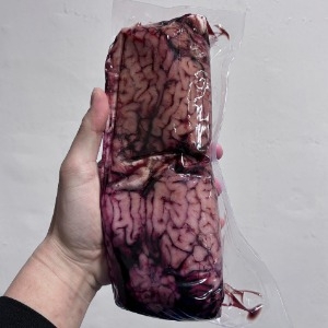 Óc - Não Bò - Túi 1 Bộ 2 Óc ~ 800g