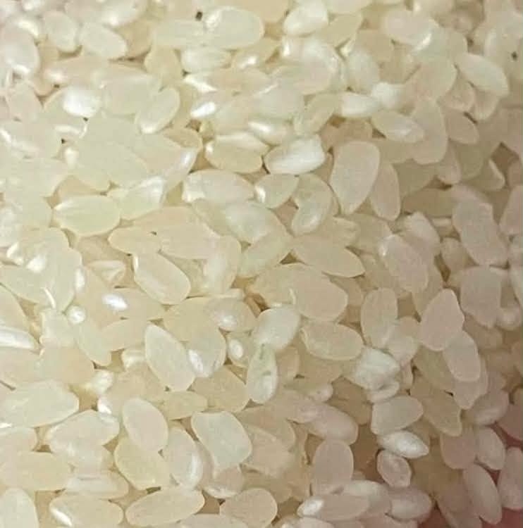Gạo Nhật Ngon Dẻo (Bao Vàng) 10Kg