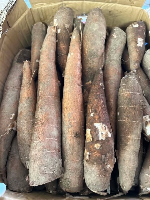 Sắn - Khoai Mì 1Kg