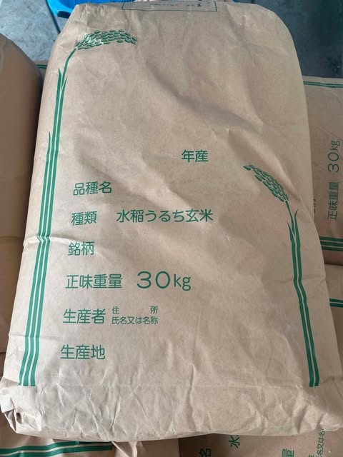 Gạo Koshihikari 2026 Bao 10kg - 令 8 年 コシヒカリ米 10kg