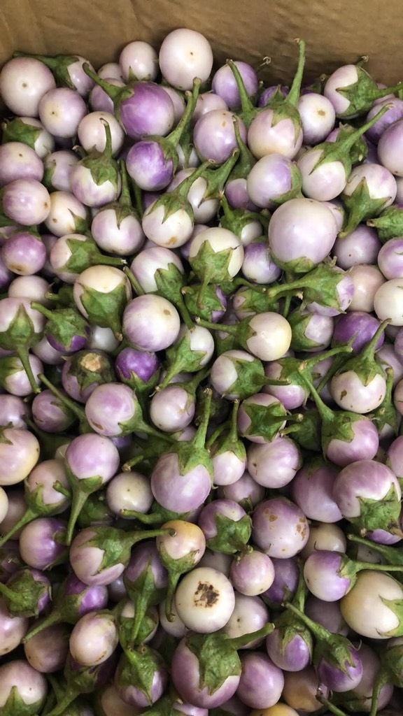 Cà Pháo Tươi 1Kg - 新鮮ベトナム産小茄子