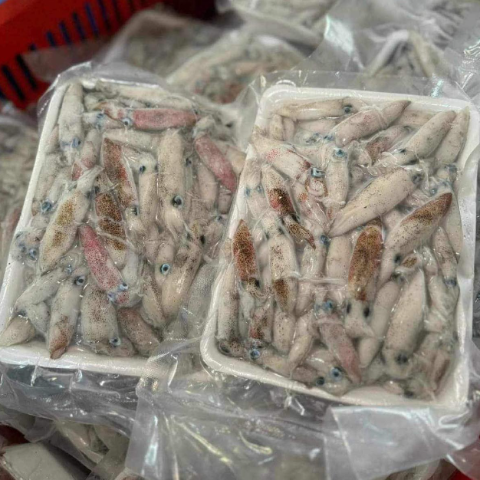 Mực Tép Nháy Cô Tô 500G