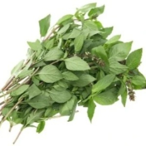 Rau Húng Quế - バジル 50g