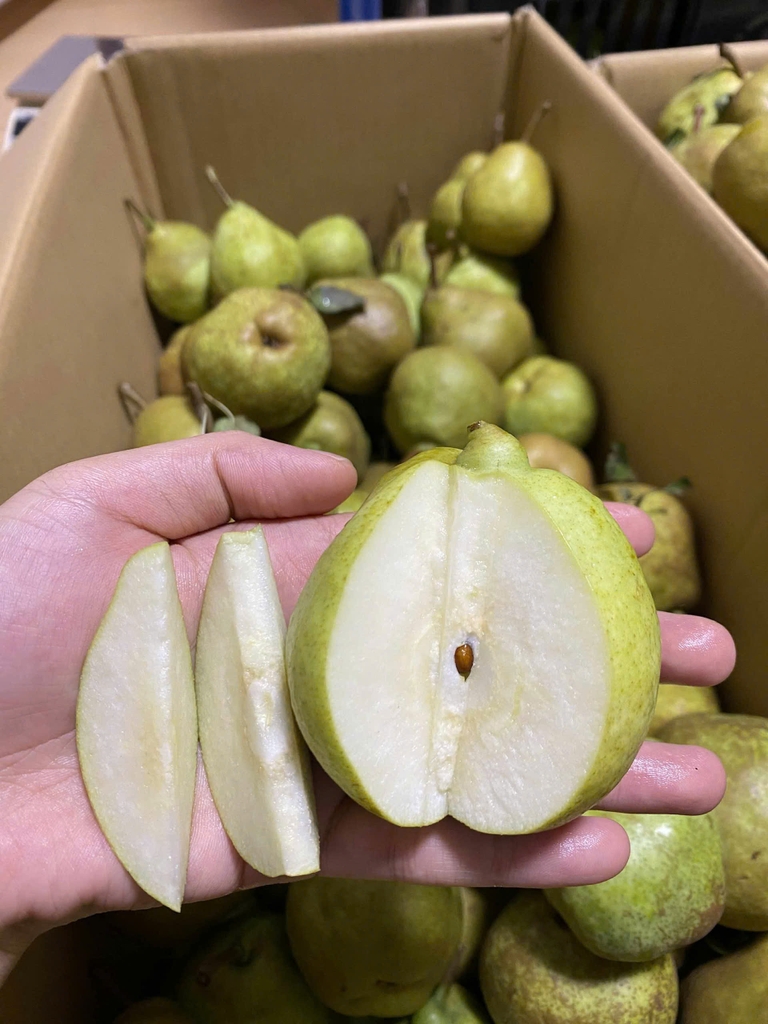 Lê Ổi Giòn Ngọt - 1000g