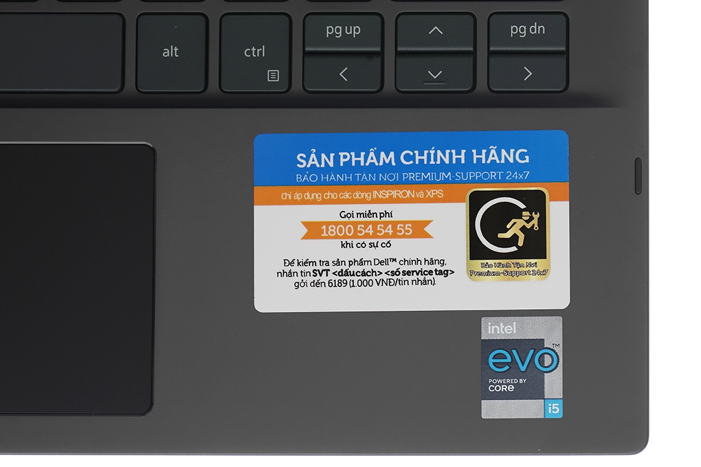 Laptop Dell Inspiron 7306 i5 1135G7/8GB/512GB/Touch/Pen/Win10 (N3I5202W)