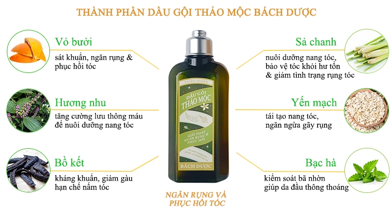Dầu Gội Trị Rụng Tóc Thảo Mộc Bách Dược - Giúp trị hết rụng tóc, trị gàu & kích thích mọc tóc