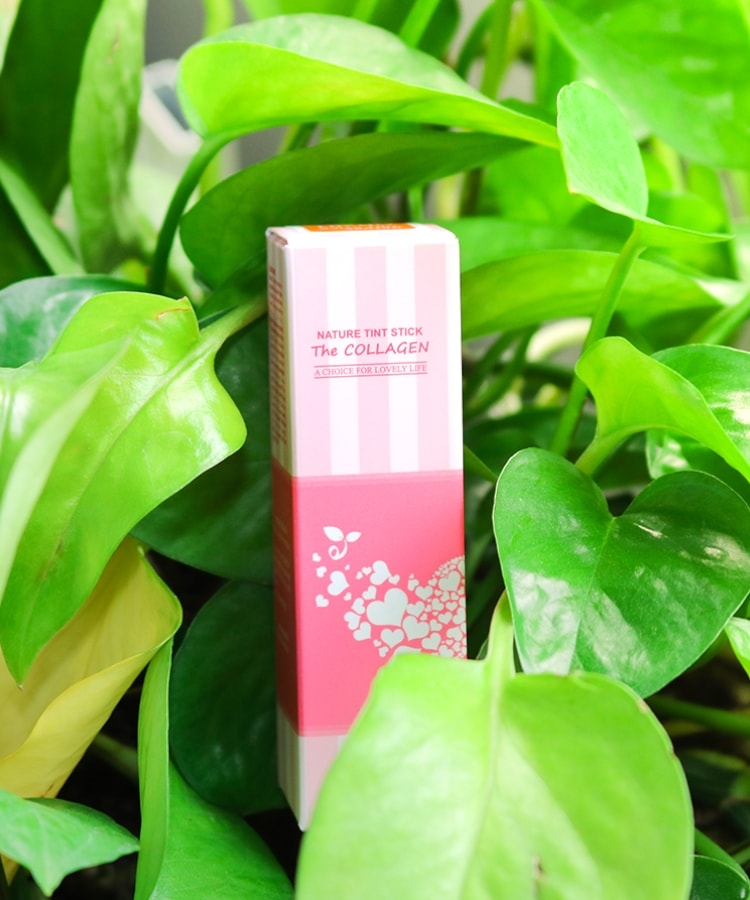 Son Dưỡng Môi có màu Ecosy Nature Tint Stick The Collagen