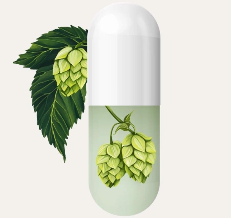 Viên Uống Giảm Cân Calocurb 45 Viên – Tạm Biệt Cơn Thèm Ăn, Giảm Cân Nhanh