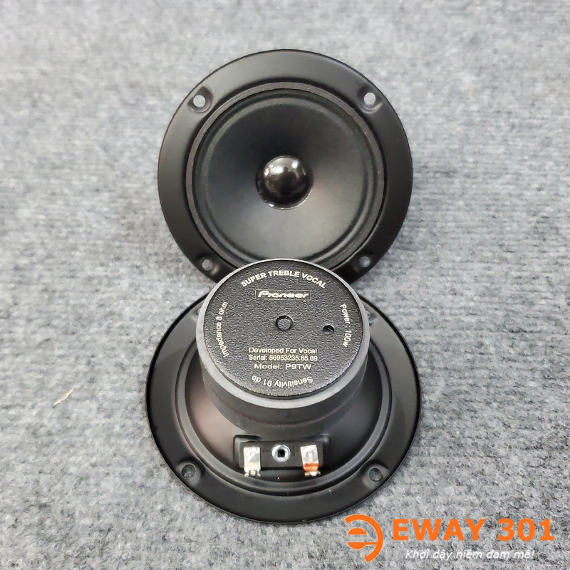 Loa Treble Pioneer P9TW Màng Giấy Củ Rời