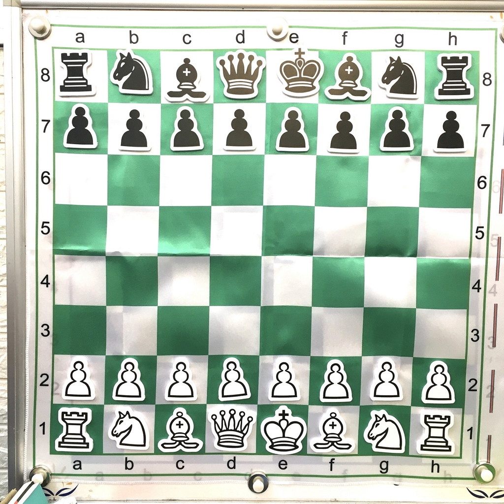 Combo 1 Bộ 32 quân cờ nam châm phục vụ giảng dạy và 1 bàn cờ vải (bàn vải để gắn lên bảng từ tính)