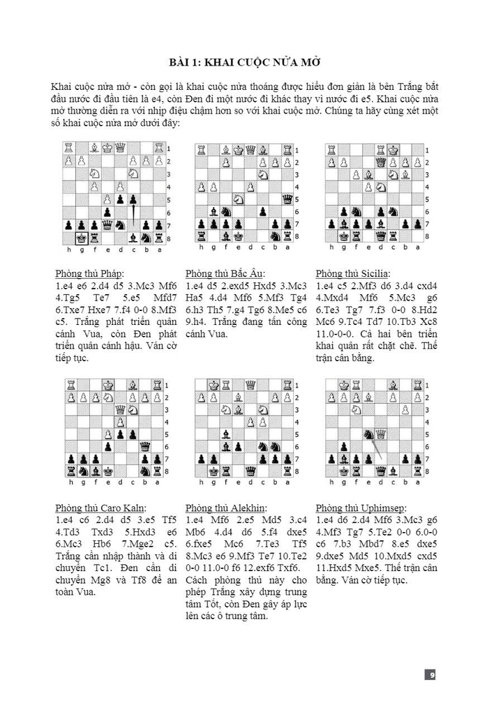 Bộ sách Cờ vua - Nhà vô địch (6 quyển)