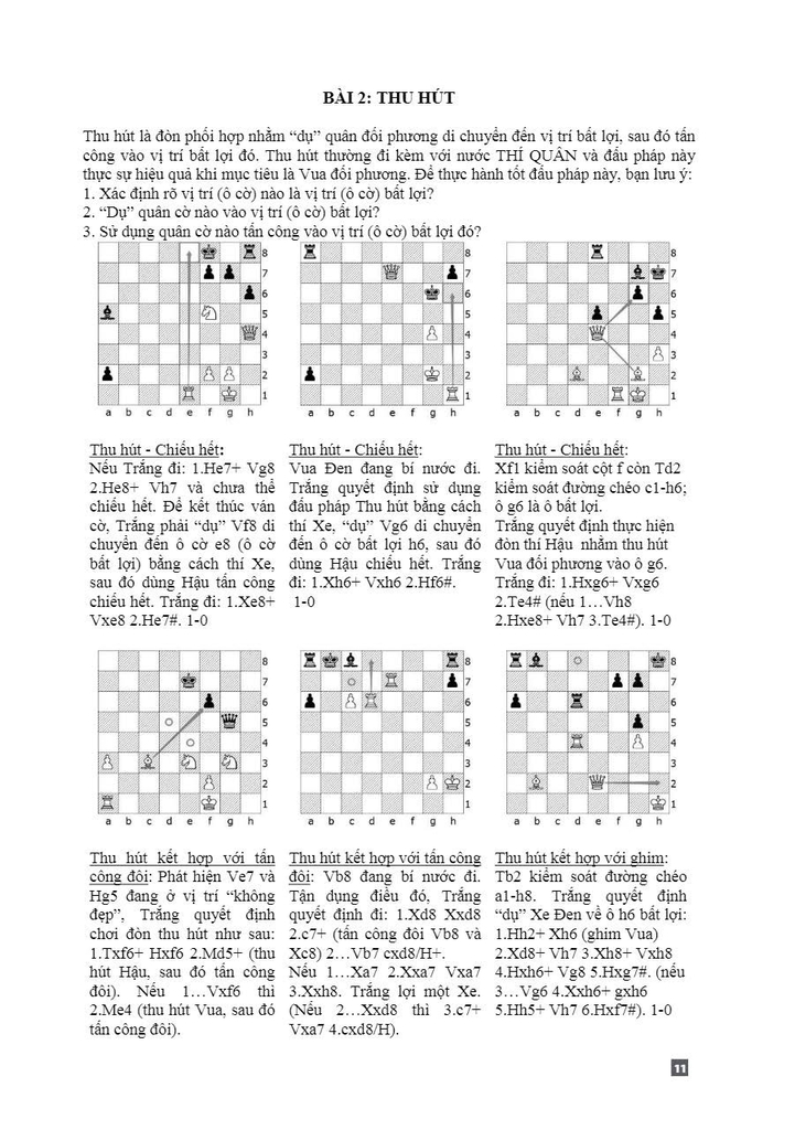 Bộ sách Cờ vua - Nhà vô địch (6 quyển)