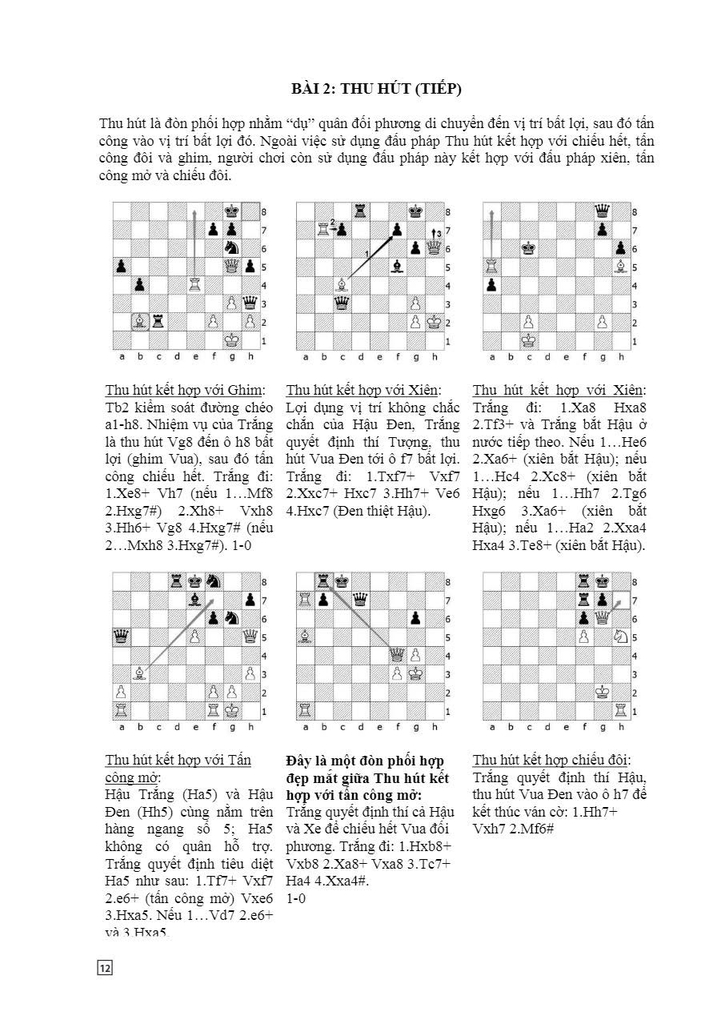 Bộ sách Cờ vua - Nhà vô địch (6 quyển)