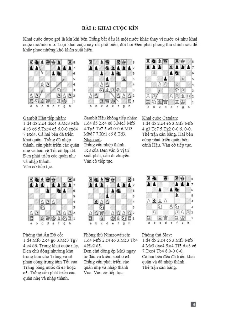 Bộ sách Cờ vua - Nhà vô địch (6 quyển)