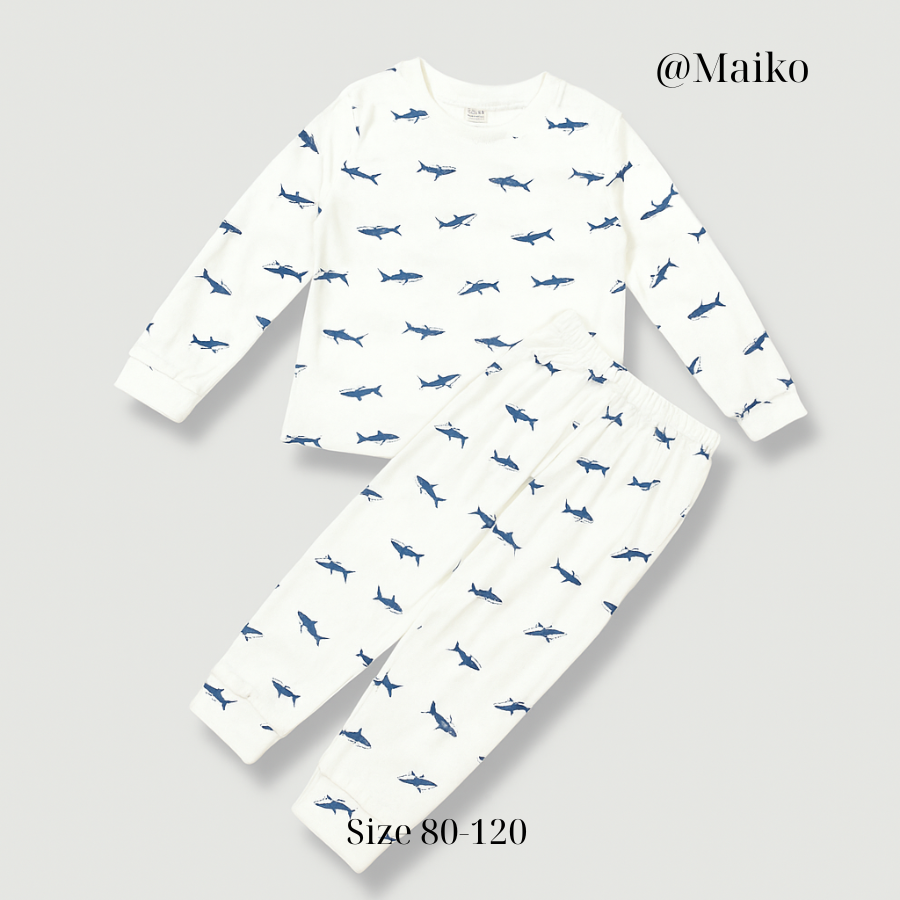 Bộ Borip cotton dài tay Thu-Đông Bé trai từ 1-5 Tuổi