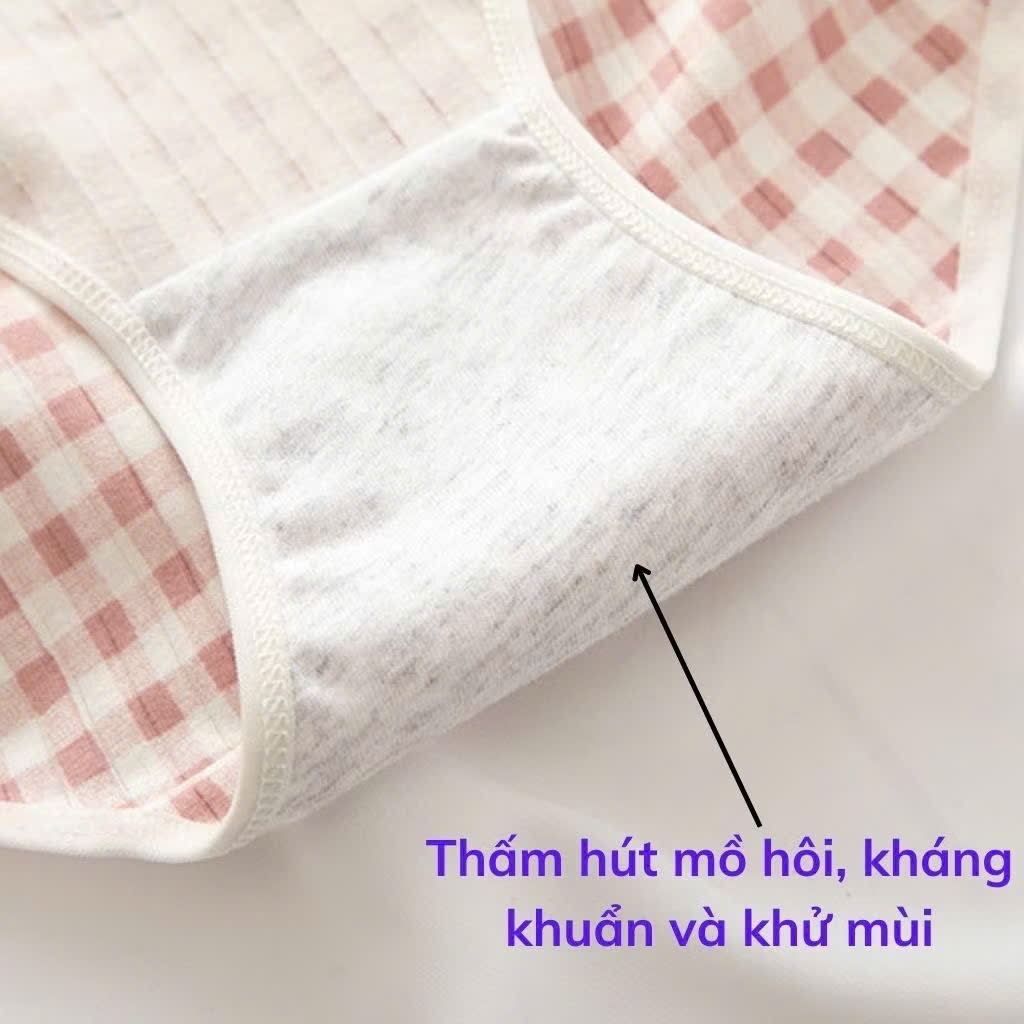 [ƯU ĐÃI] QUẦN LÓT TEEN HỌC SINH COTTON TĂM A2427