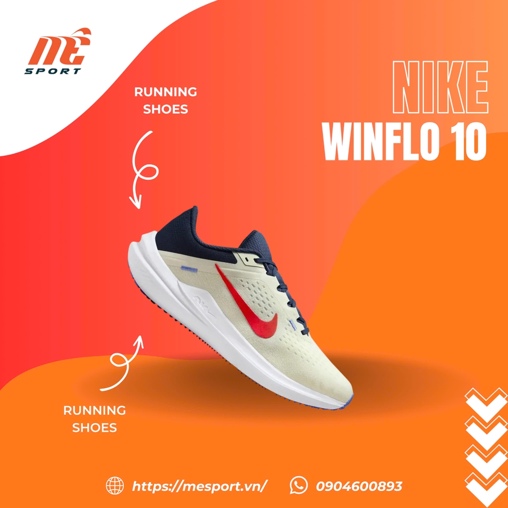 Giày Nike nam Air Winflo 10