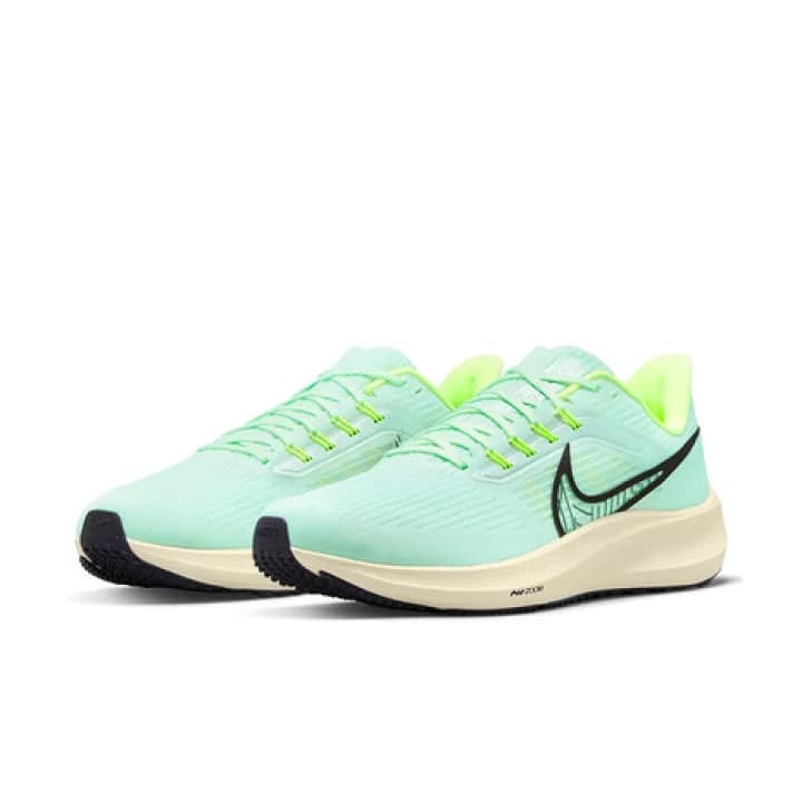 Nike Air Zoom Pegasus 39
