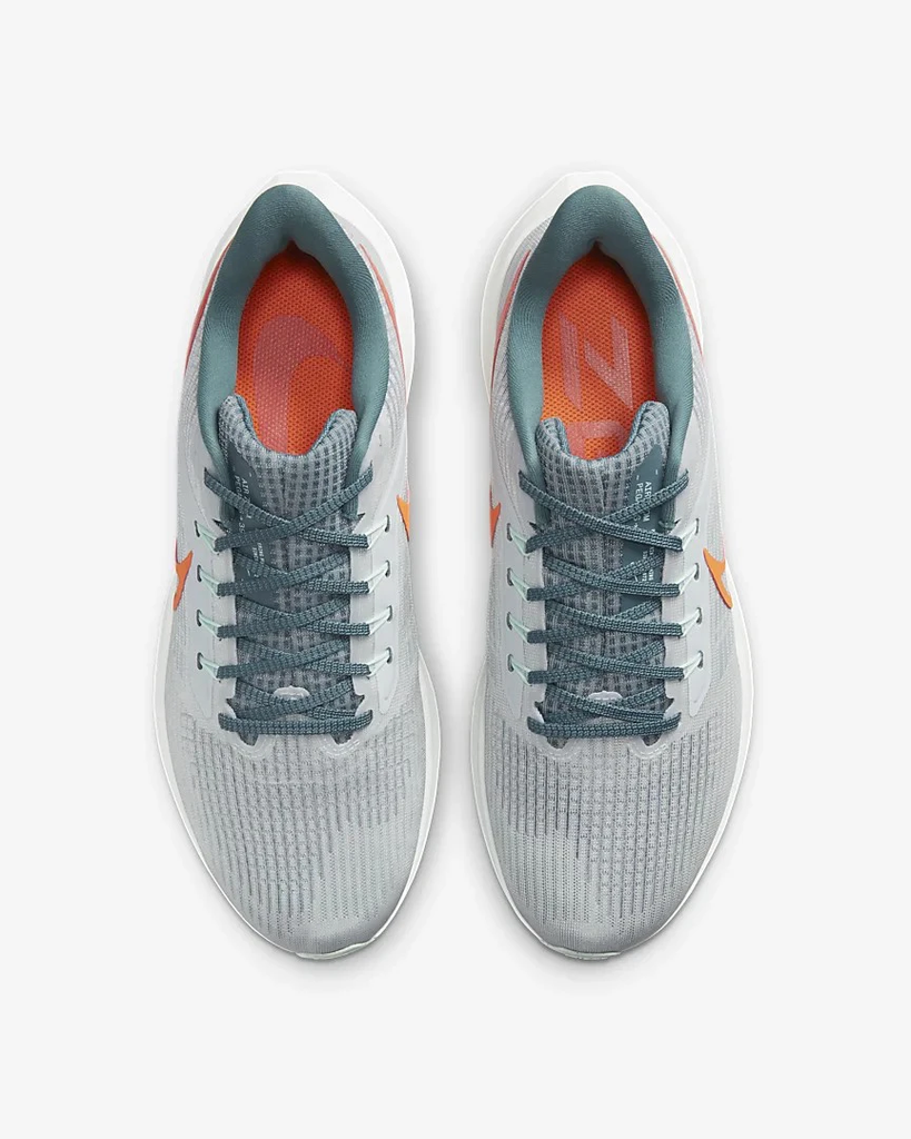 Nike Air Zoom Pegasus 39
