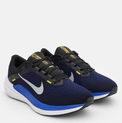 Nike Winflo 10