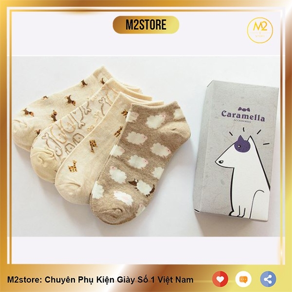 Set Tất Vớ Nữ Cổ Ngắn Caramella 4 Đôi Họa Tiết Động Vật Cực Đáng Yêu TNG55