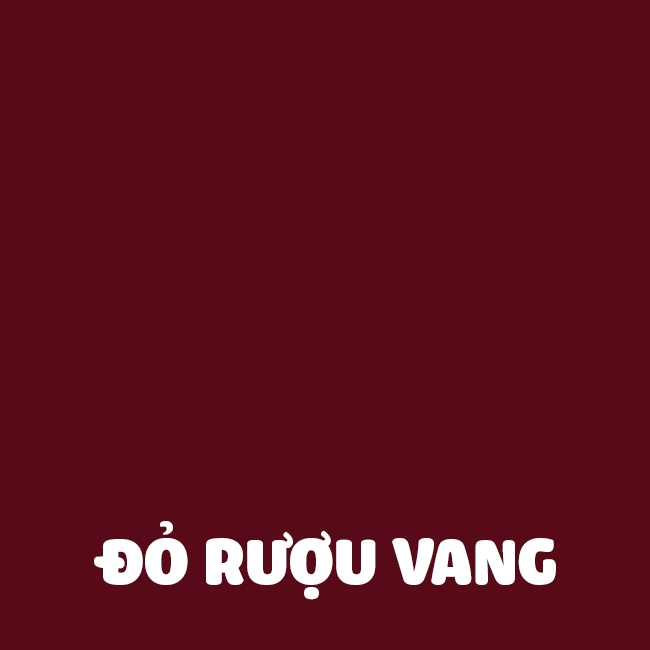 Bộ sơn chuyên dụng cho da giúp đổi màu, sửa chữa cho giày, túi, ví, áo da, ghế da(BSM01)