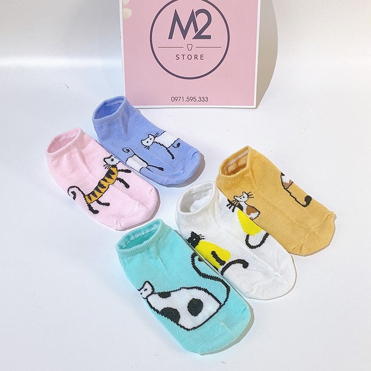 Set 5 Đôi Vớ Tất Nữ Cổ Ngắn Hình Mèo Đáng Yêu Cực Xinh TNG24-G5