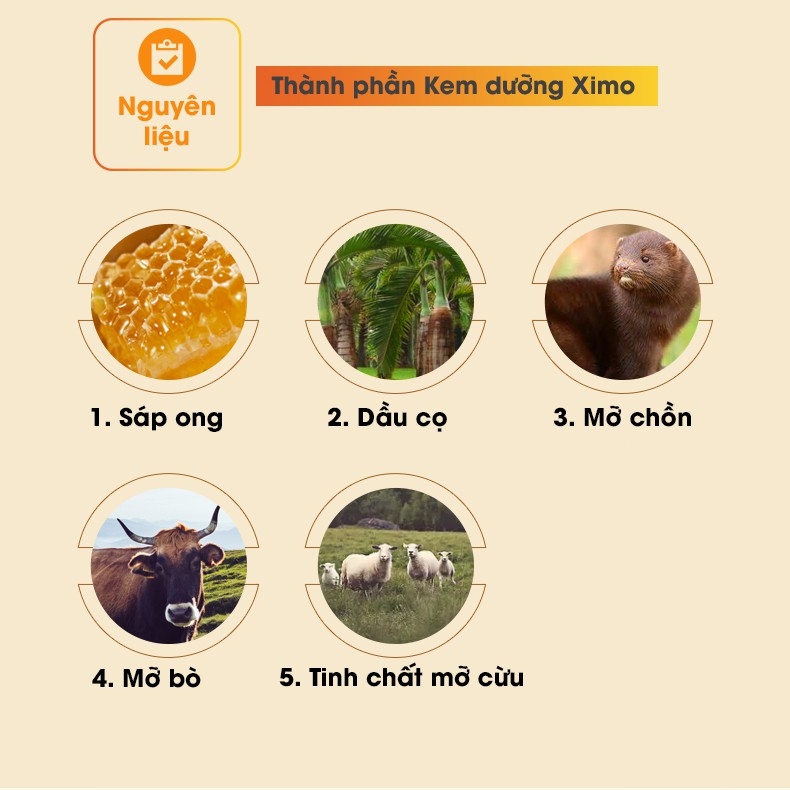 Kem dưỡng đồ da chuyên sâu XIMO, giúp tái tạo độ đàn hồi cho da giày, dưỡng áo da, túi ví, 80ml XI04