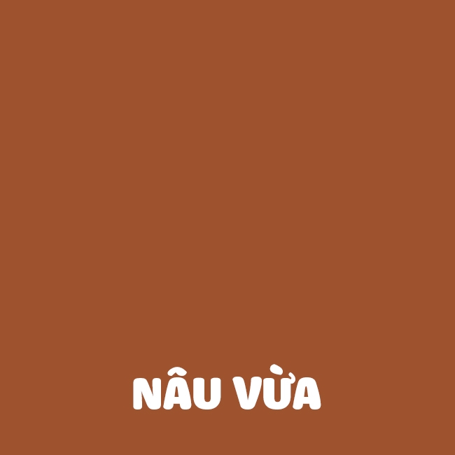 Bộ chăm sóc giày da saphir cao cấp BCHG01