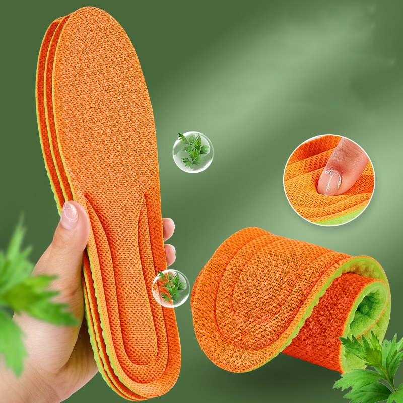 Dây Giày Dẹt Thể Thao Đủ Màu Loại Đẹp DG01