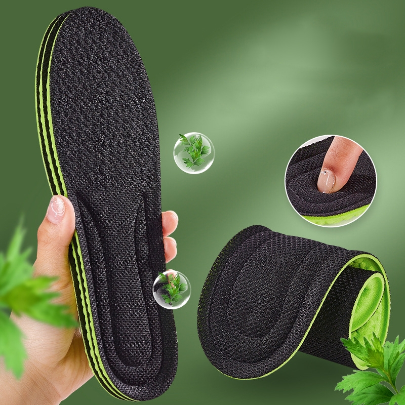 Dây Giày Dẹt Thể Thao Đủ Màu Loại Đẹp DG01
