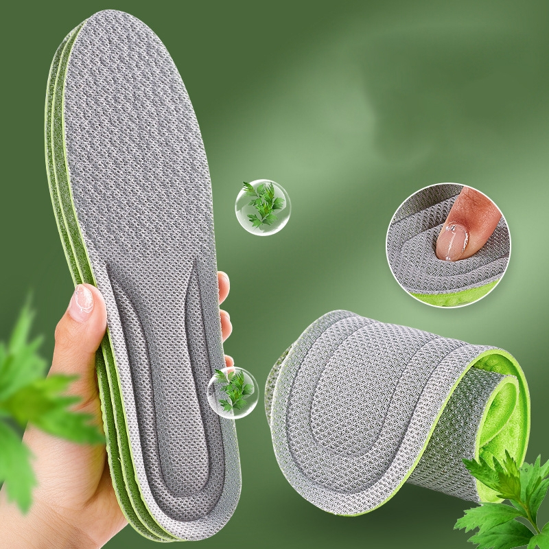 Dây Giày Dẹt Thể Thao Đủ Màu Loại Đẹp DG01