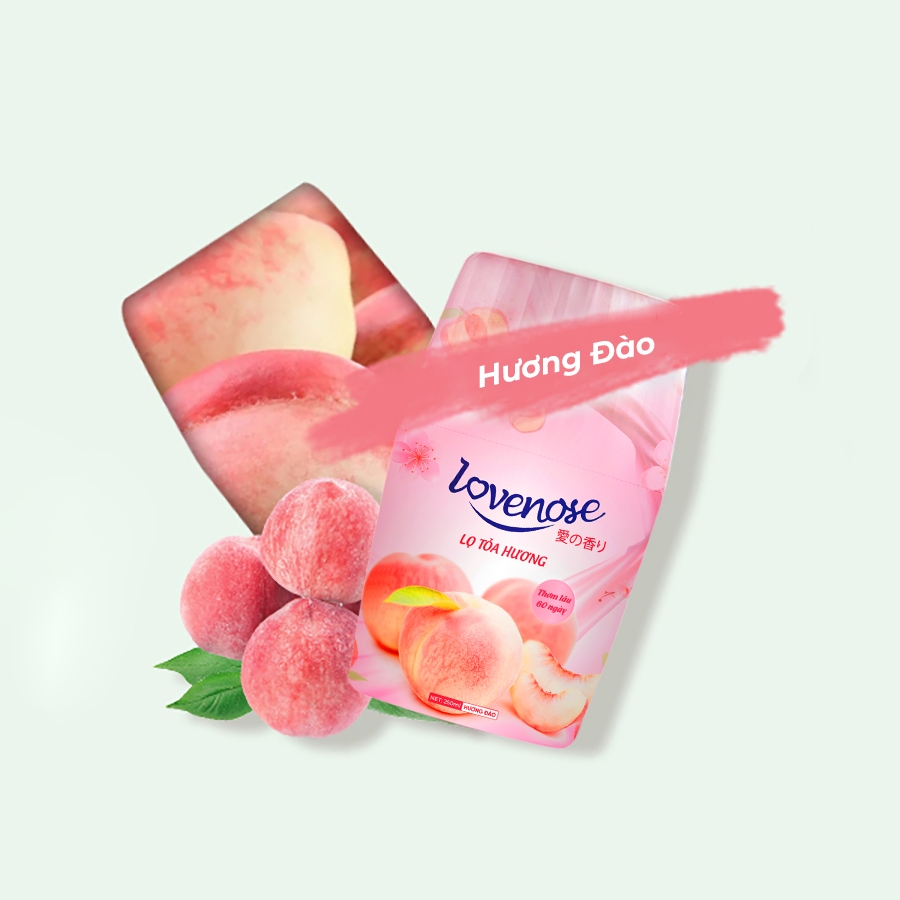 Bàn chải đánh giày lông ngựa gỗ sồi cao cấp cỗ lớn chuyên dụng BCDG20