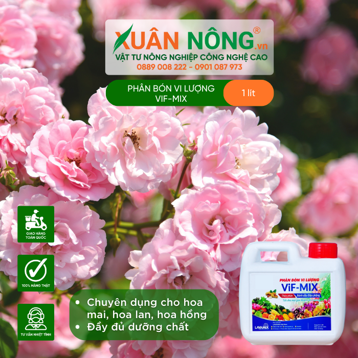 PHÂN VI LƯỢNG BÁNH DẦU 1L