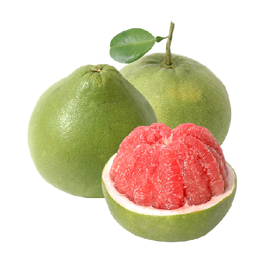 CÂY GIỐNG BƯỞI DA XANH