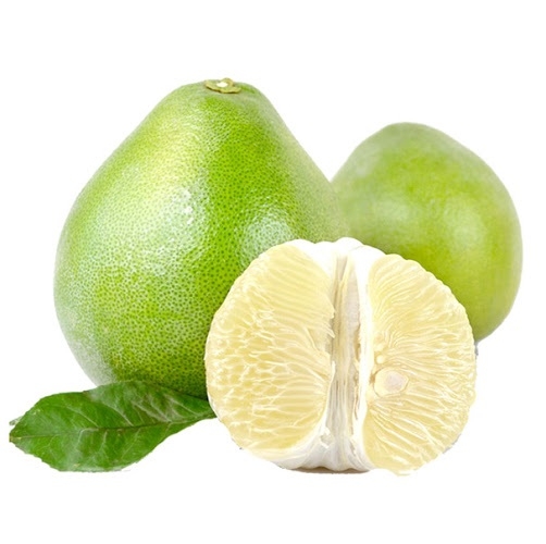 CÂY GIỐNG BƯỞI NĂM ROI