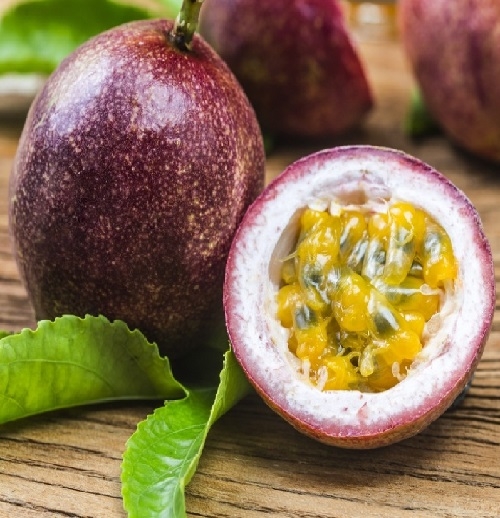 CÂY GIỐNG CHANH DÂY TÍM