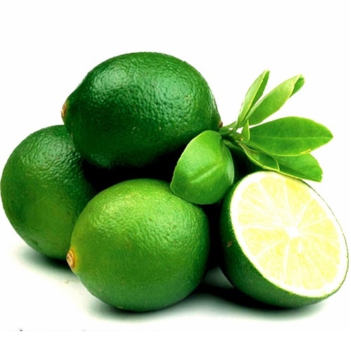 CÂY GIỐNG CHANH KHÔNG HẠT