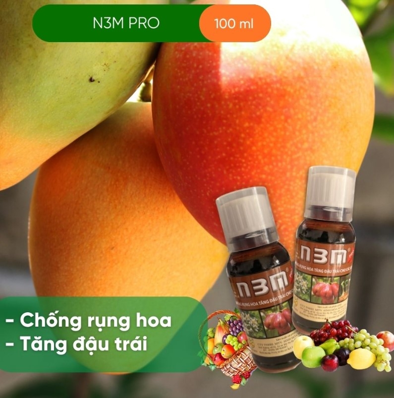 CHỐNG RỤNG BÔNG VÀ RỤNG TRÁI NON