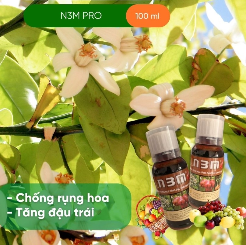 CHỐNG RỤNG BÔNG VÀ RỤNG TRÁI NON