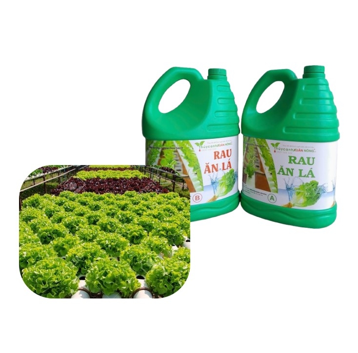 Dung dịch thủy canh