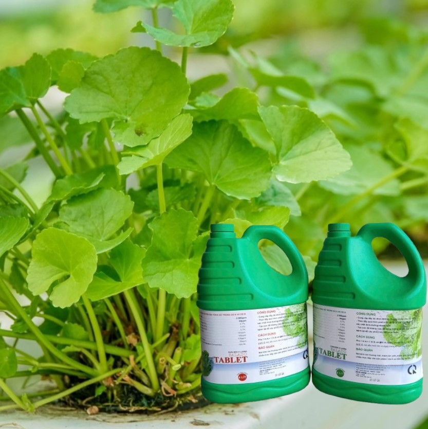 Dung dịch thủy canh