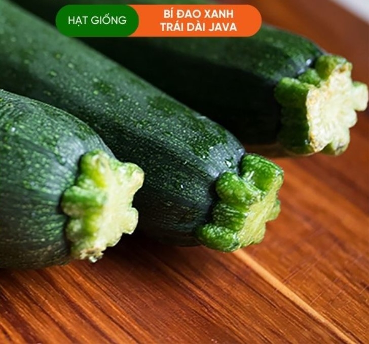 HẠT GIỐNG BÍ ĐAO XANH TRÁI DÀI JAVA