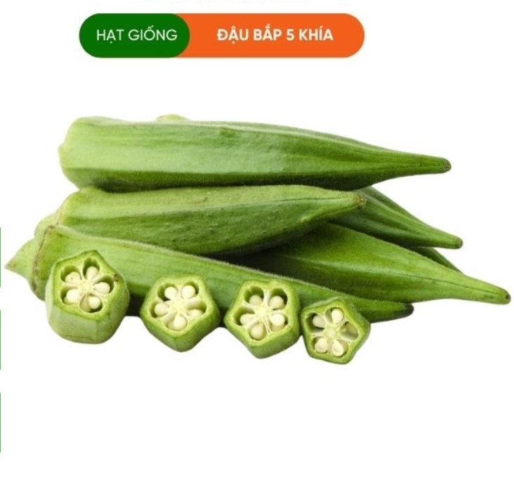 HẠT GIỐNG ĐẬU BẮP 5 KHÍA