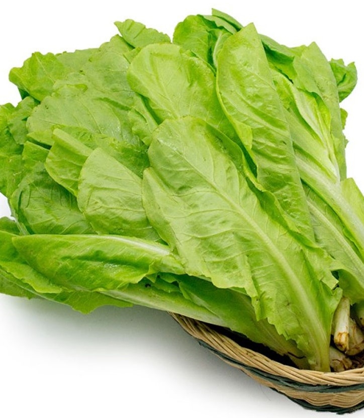 HẠT GIỐNG XÀ LÁCH