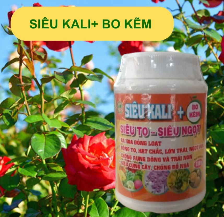 SIÊU KALI